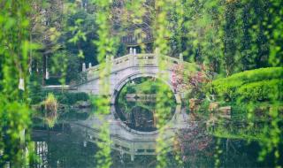 清明节去哪玩比较好 清明节去哪里旅游好