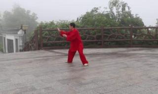 杨氏太极拳共有多少式 85式太极拳