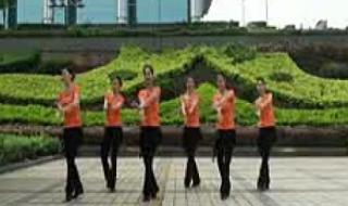 广场舞冬天的白玫瑰