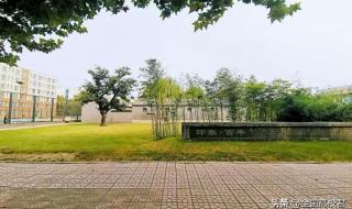 邢台医学高等专科学校口腔医学2019年录取分数线是多少 邢台学院专科分数线