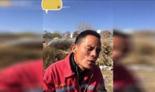 丢了幸福的猪广场舞