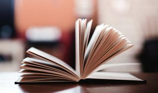 乌龙小子动画片全集