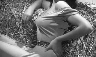 2020好莱坞最火电影排行榜 最新好莱坞大片