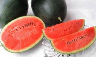 黑美人西瓜种植技术