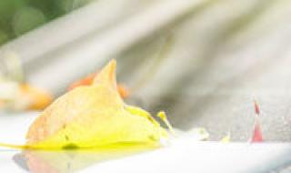 为什么三国志11头像编辑器更换一个暴击头像会更改所有 三国志11武将头像包