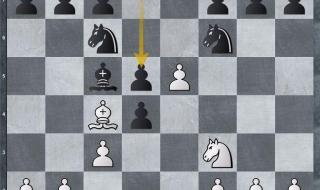 国际象棋意大利开局